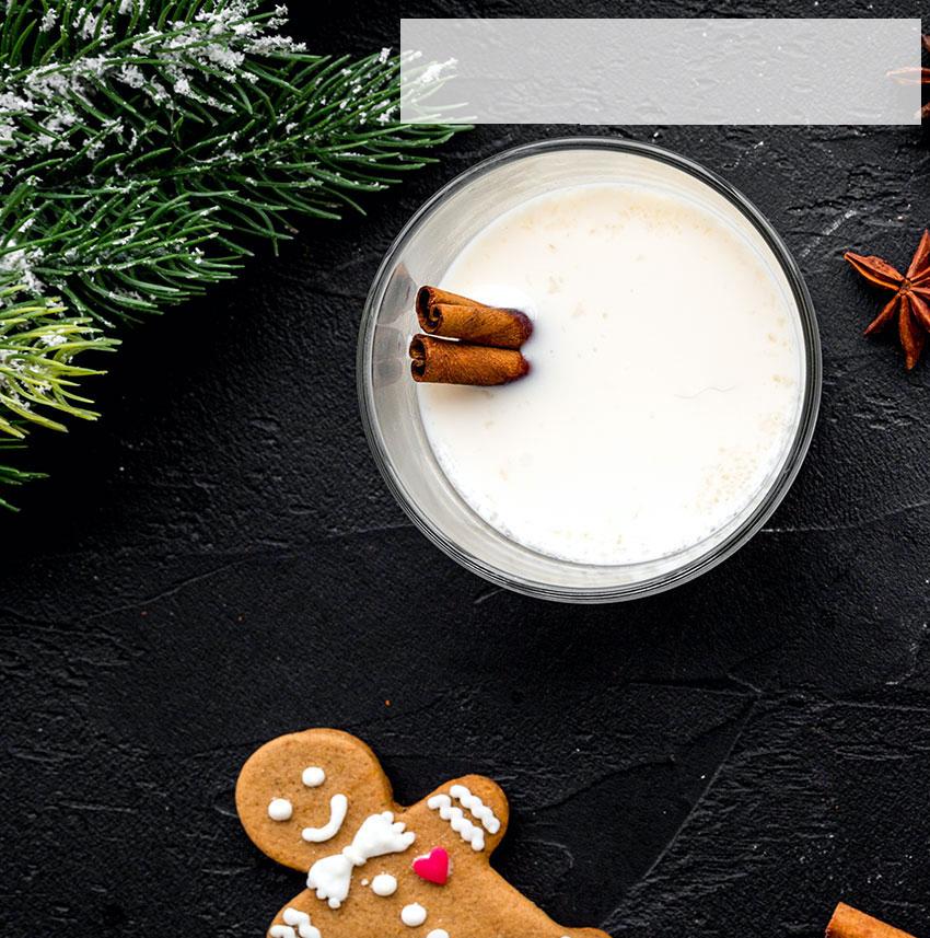 Bariatric Recipes - Gingerbread Cookie Protein Shake - Bariatric Fusion