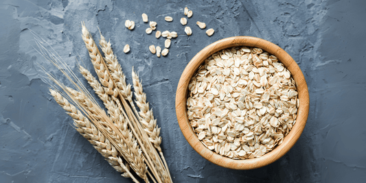 Protein in Oatmeal